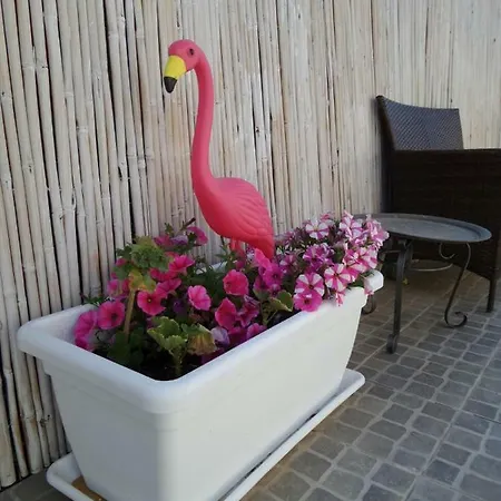 Casa Vacanze Clesa Appartamento